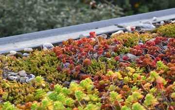 the cost of Hagworthingham green roof installation