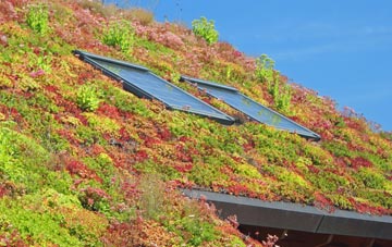 Hagworthingham living roof systems
