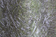 Hagworthingham fibreglass roof work